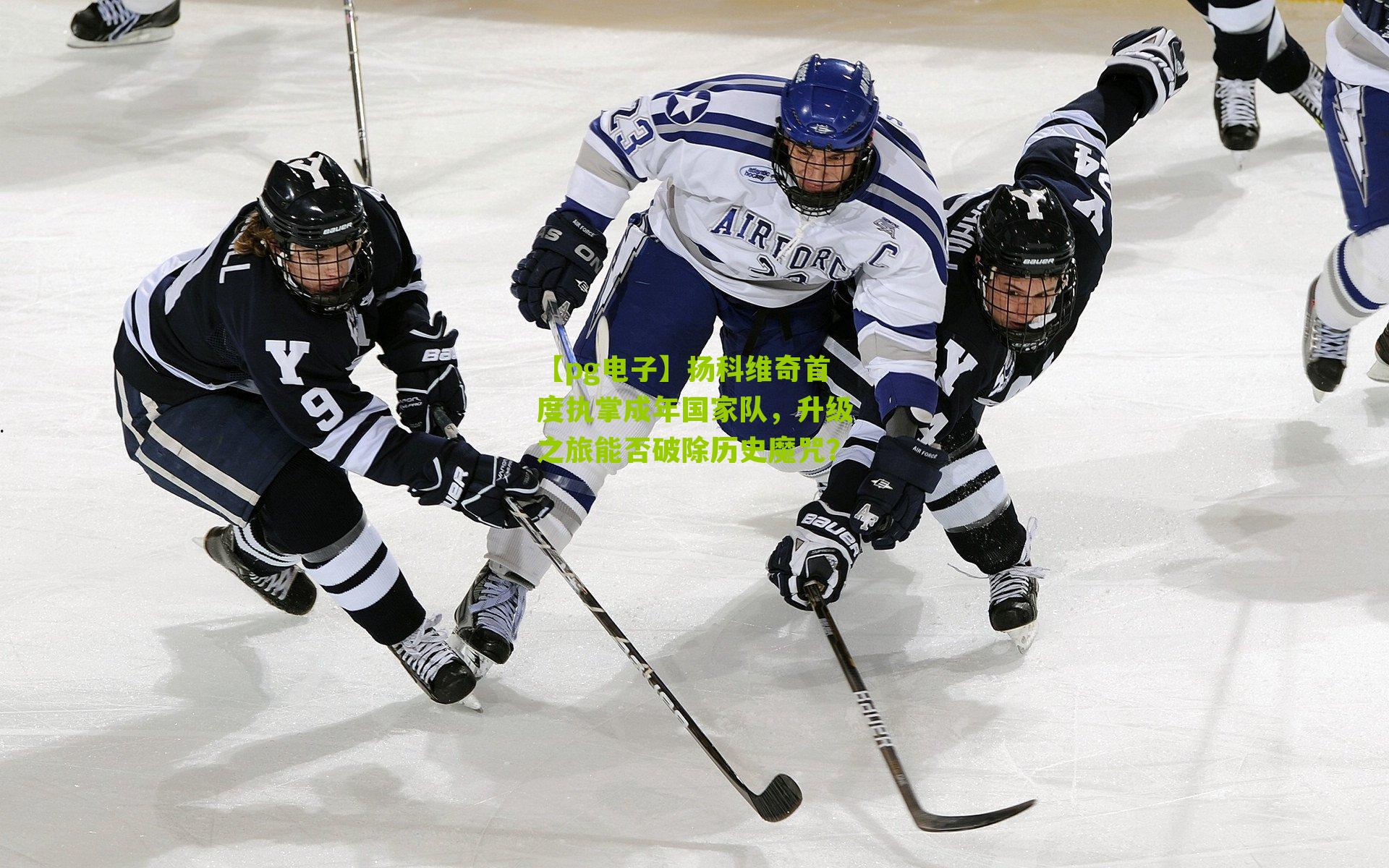 扬科维奇首度执掌成年国家队，升级之旅能否破除历史魔咒？