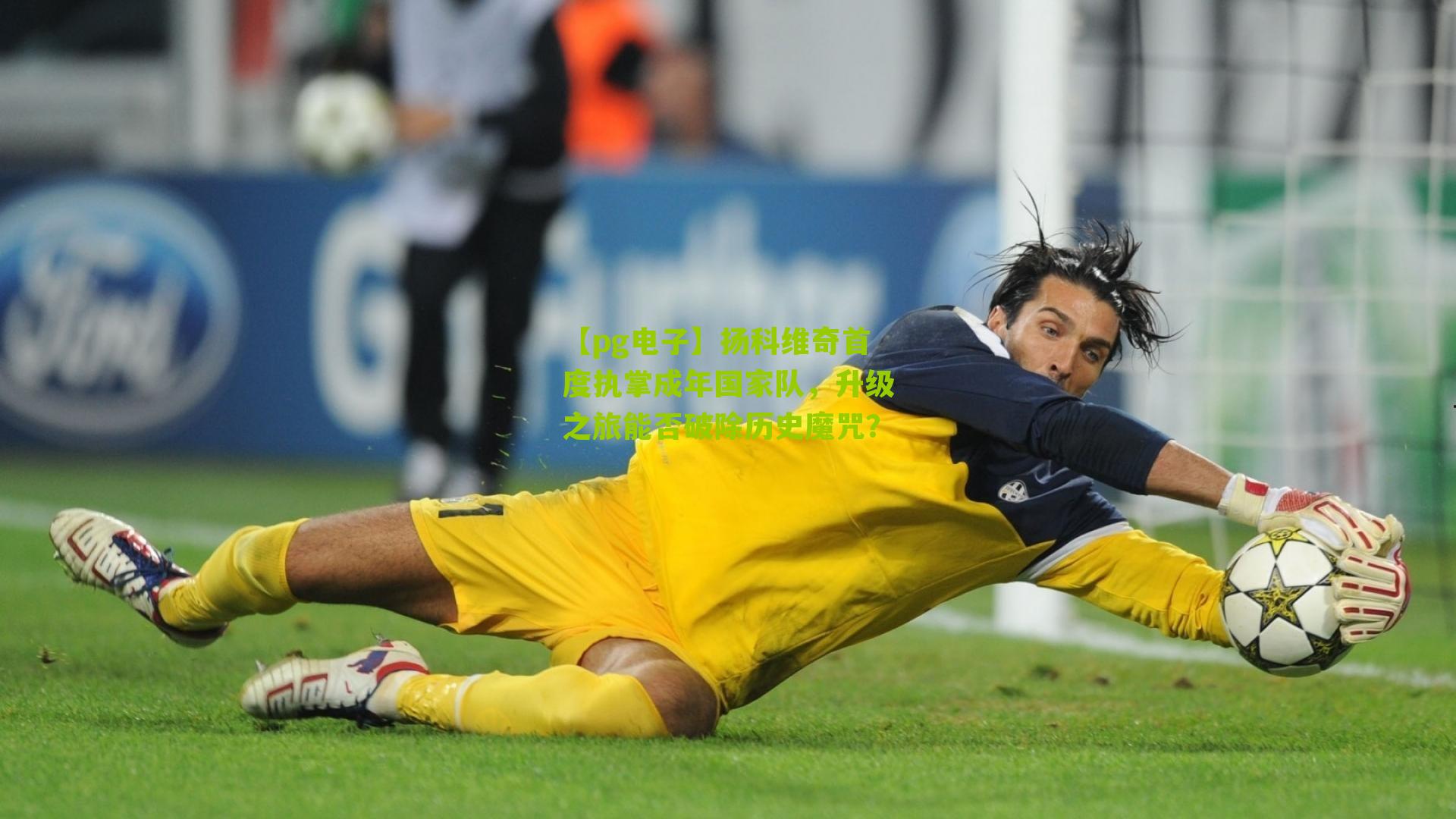 扬科维奇首度执掌成年国家队，升级之旅能否破除历史魔咒？